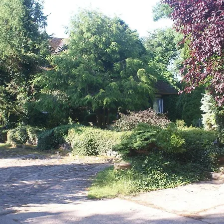 Dorf Stille - Huetten In Den Gaerten Magra - Rose *