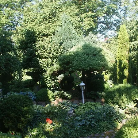 Dorf Stille - Huetten In Den Gaerten Magra - Rose *
