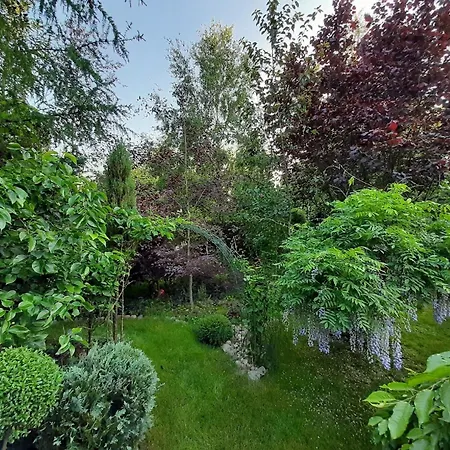 Dorf Stille - Huetten In Den Gaerten Magra - Rose